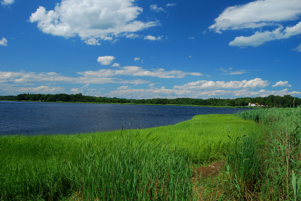 Taunton river in summer